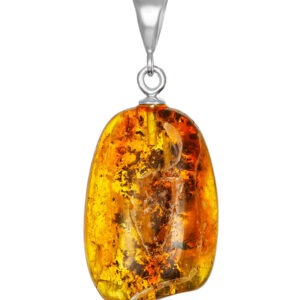 A small pendant made of solid amber with a fly inclusion