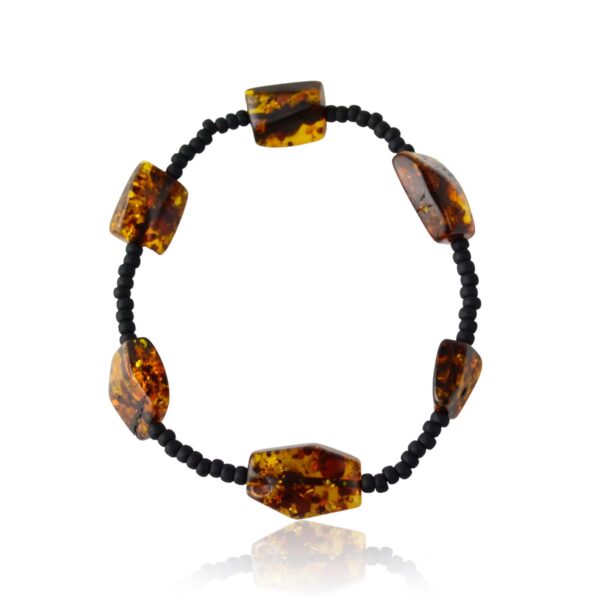 DSC0271M-PhotoRoom1221.jpg Natural Baltic Amber & Black Beads