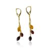 DSC0466m-PhotoRoom111.jpg Amber Drop Earrings