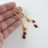 DSC0467m-1.jpg Amber Drop Earrings