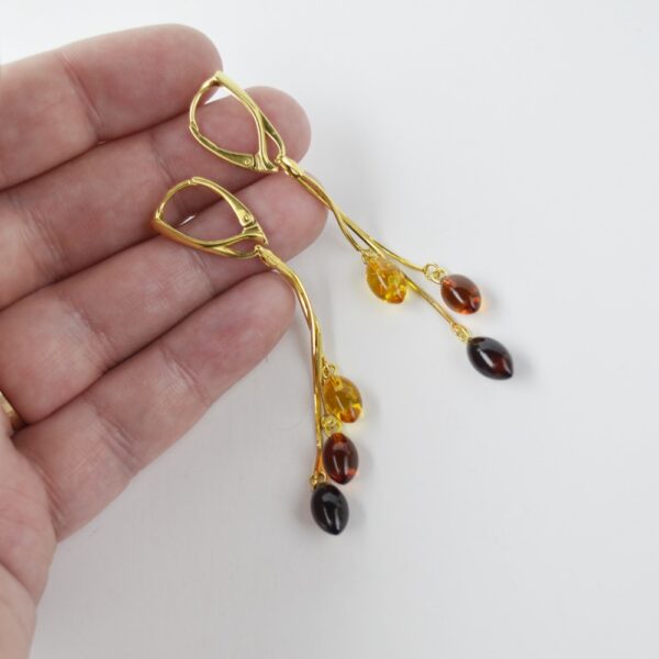 DSC0467m-1.jpg Amber Drop Earrings