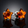 IMG_0529_kopiya.jpg Charming Stud Earrings