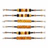 Natural Baltic Amber Harmoney Bracelet