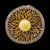 WARDA.jpeg Amber Sparkle Ring