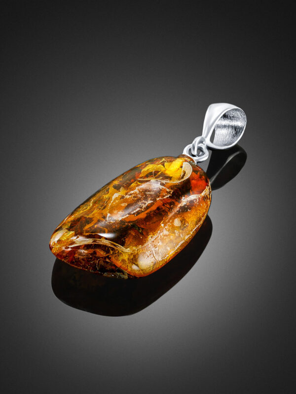 fosil2.jpg Captured in Time Pendant