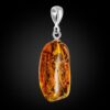 fosil4.jpg Captured in Time Pendant