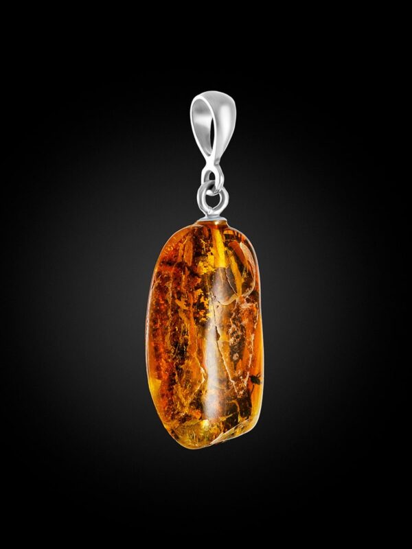 fosil4.jpg Captured in Time Pendant