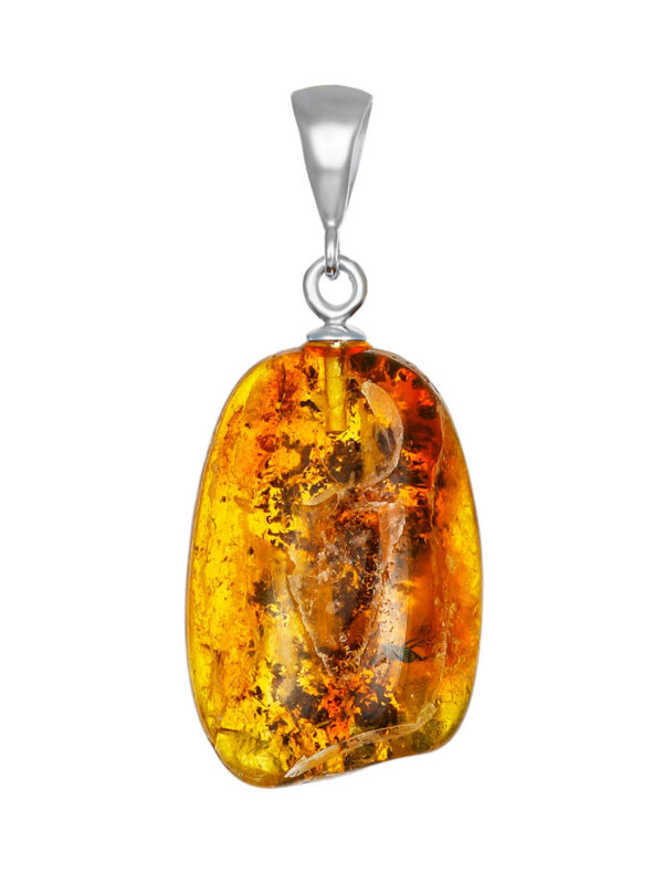 inscts1.jpg Captured in Time Pendant