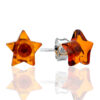 ocharovatelnye_sergi_gvozdiki_iz_naturalnogo_tselnogo_yantarya_zvyezdochki.jpg Charming Stud Earrings