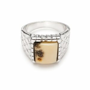 White Natural Baltic Amber